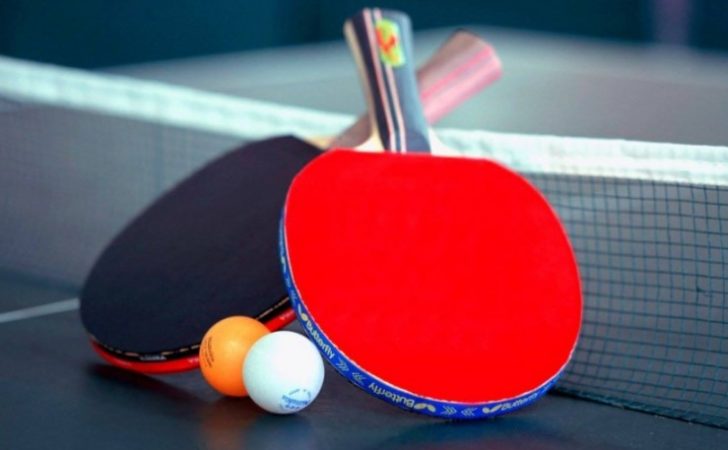 Ukuran Lapangan Tenis Meja Standar Nasional Dan Internasional