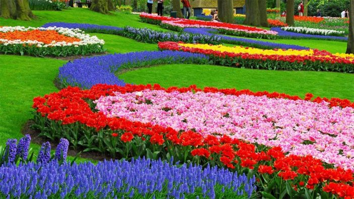 tempat wisata bandung taman bunga cihideung