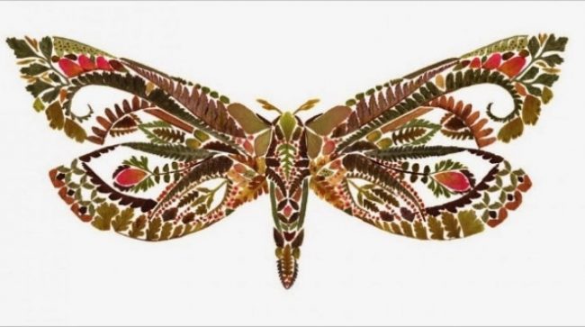 Gambar Kolase Kupu-kupu dari Kertas