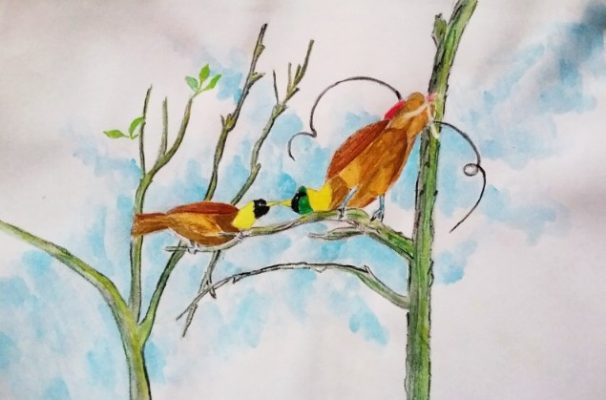 Sketsa Burung Di Atas Pohon
