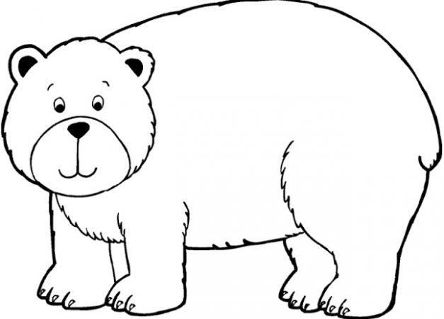 Sketsa Gambar Hewan Beruang