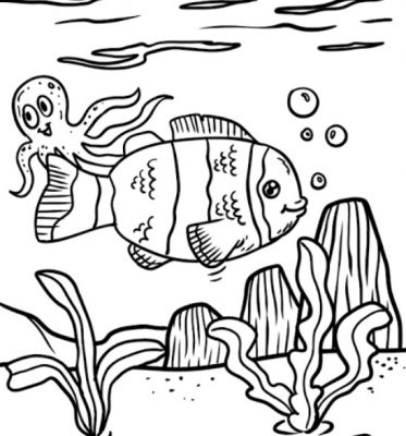Sketsa Gambar Ikan Badut