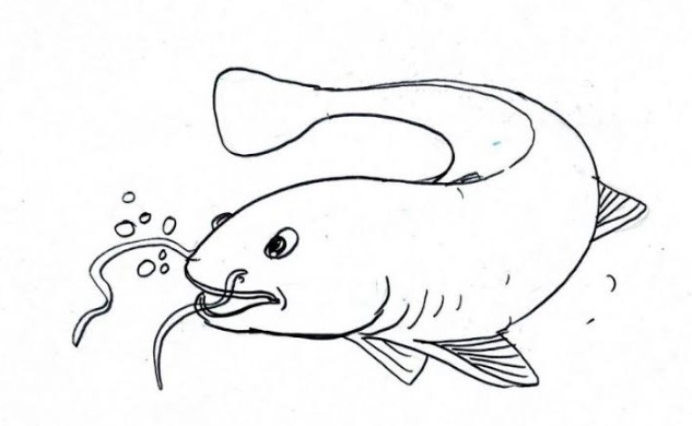 Sketsa Gambar Ikan Mujair