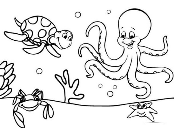 Sketsa Hewan Laut