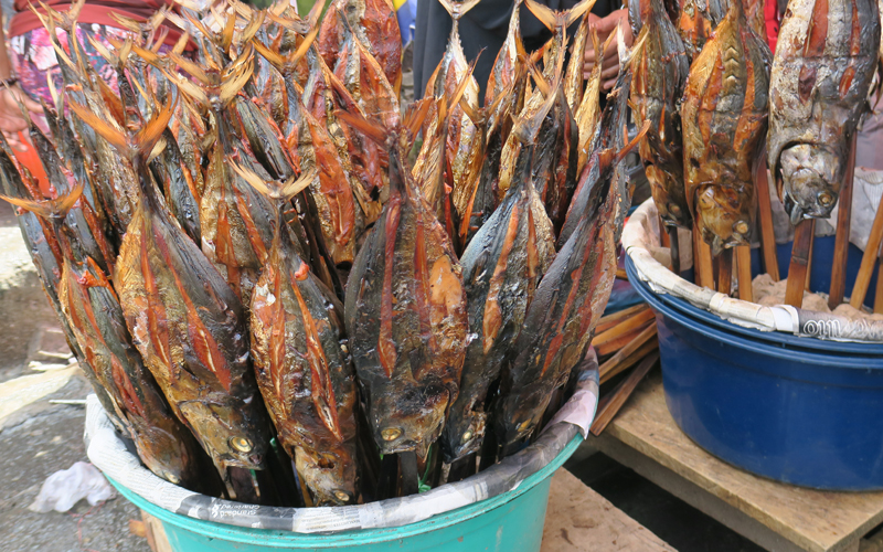 ikan komu ashar menjadi makan khas maluku