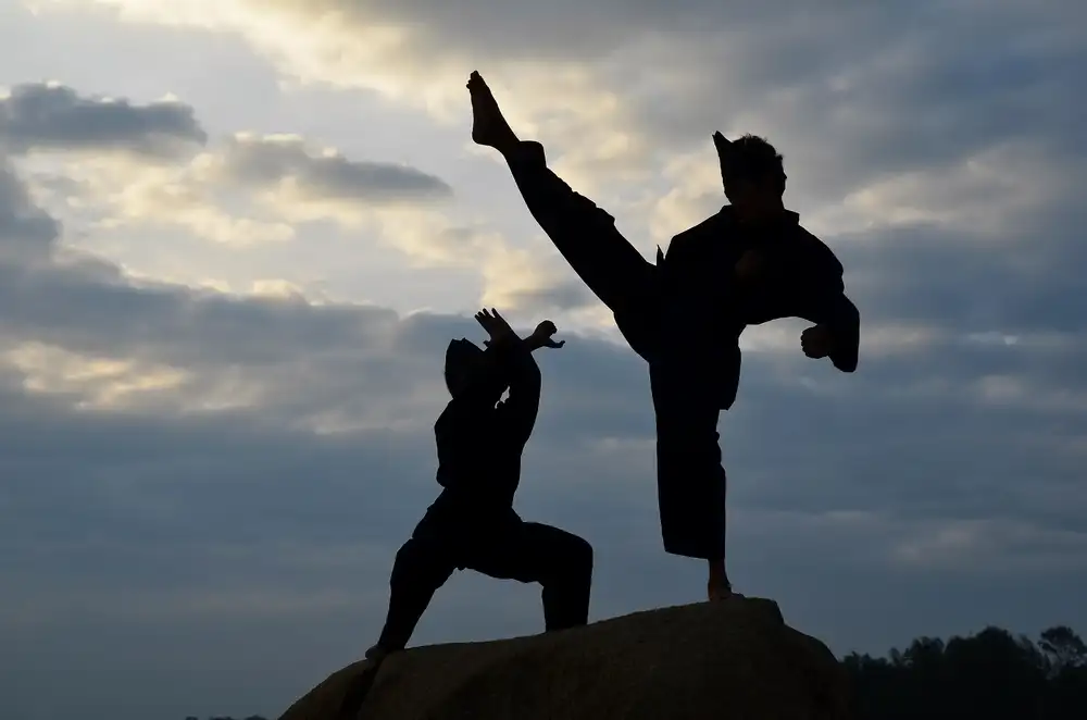 Teknik dasar pencak silat