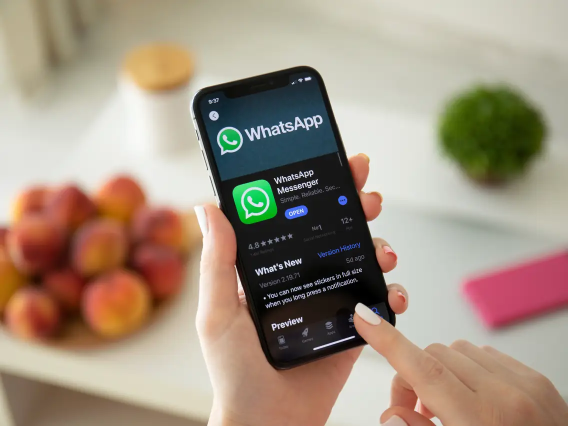 cara melihat chat whatsapp yang sudah dihapus di iphone