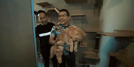 Terdapat ruangan khusus kucing peliharaan. 