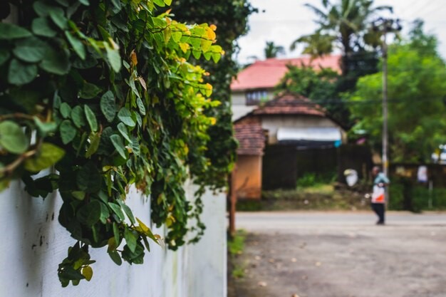 Mengenal rumah tusuk sate. 