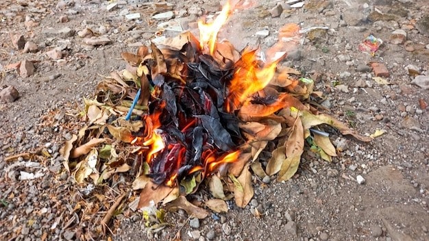 Undang-undang bakar sampah. 