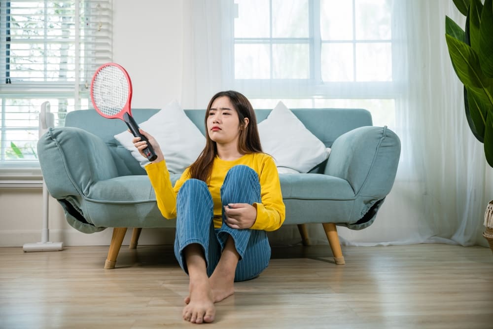 Panduan Lengkap agar Rumah Bebas Nyamuk